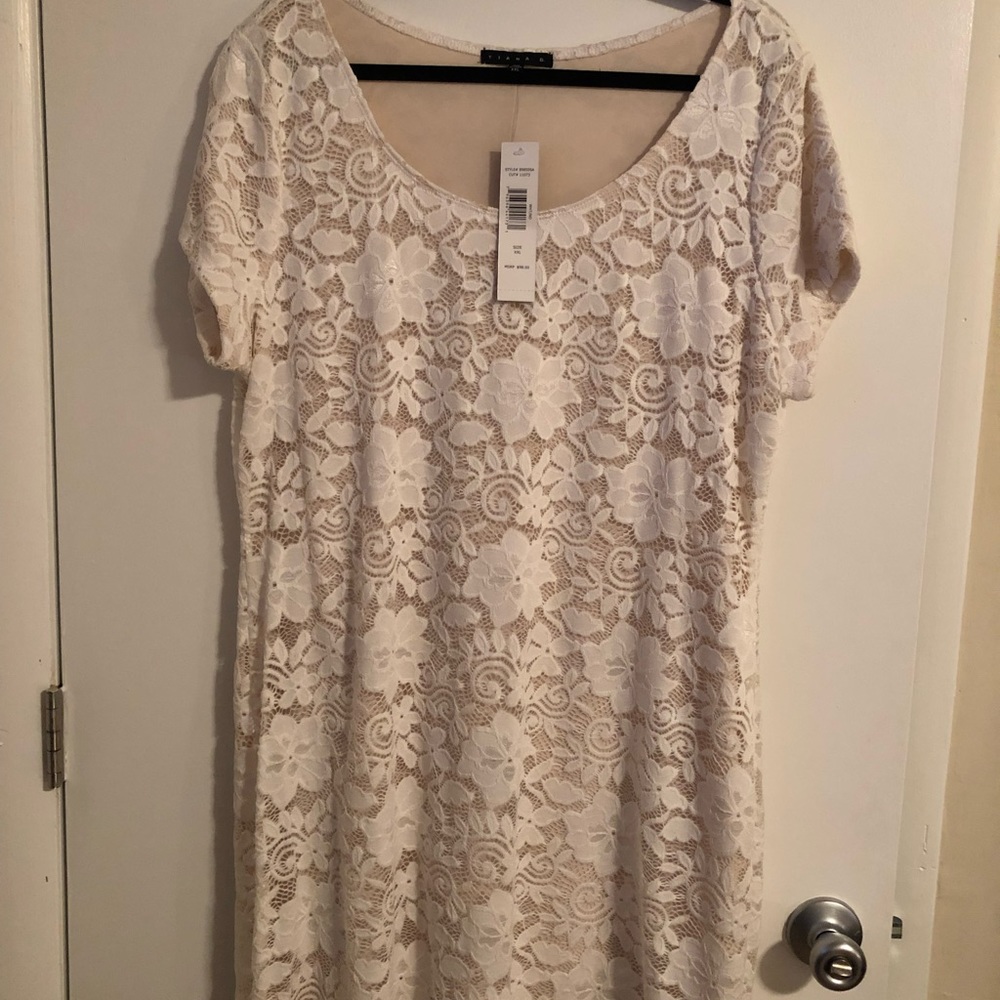 Lace Dress